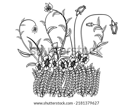 flower growth illustration drawn in black and white