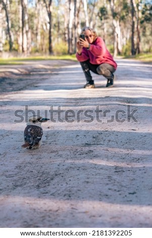 Woman taking a picture of a Kookaburra bird in the bush