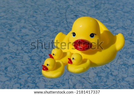 Small tiny yellow duck rubber family swimming in the water. 