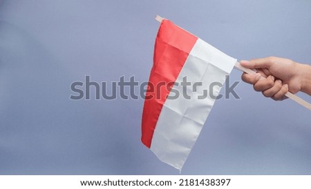 Hand waving red and white flag isolated on a purple background.