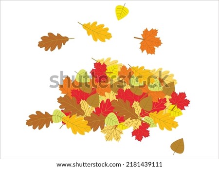 Pile of colorful autumn leaves. Heap of leaves. Fall. Yellow, red, orange brouns maple, oak leaves. White background, Royalty-Free Stock Photo #2181439111