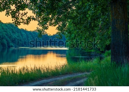 Sunny summer morning on meadow near river. Scenic rural landscape.Green  background. forest misty morning fog willow birch tree Countryside beautiful Dniester (Nistru) National Park Moldova