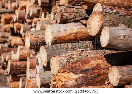 Pile of chopped wood tree, abstract wooden background with forestry