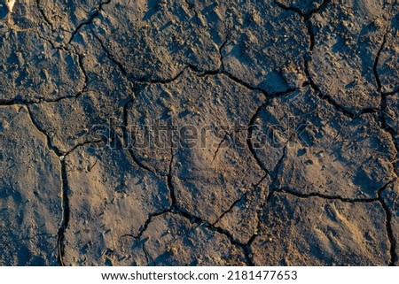 dry, cracked soil, no rain, natural disaster. A dry earth background picture, soil without plants, climate change, hot summer