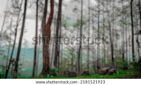 Defocus abstract background of natural landscape images with pine trees