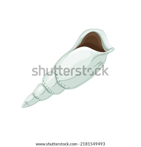 ocean sea shell cartoon. ocean sea shell sign. isolated symbol vector illustration