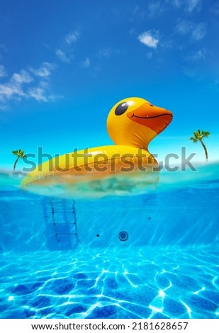 Inflatable duck swim in the pool water on tropical resort half underwater split shot Royalty-Free Stock Photo #2181628657
