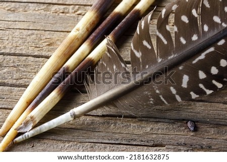 PEN FEATHERS AND QUILLS ON A WOODEN SURFACE