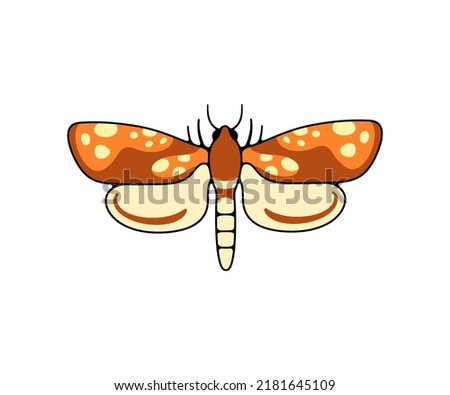 Spotted nocturnal moth, butterfly and moth, logo design. Flying insects, nature, entomology and entomological, vector design and illustration