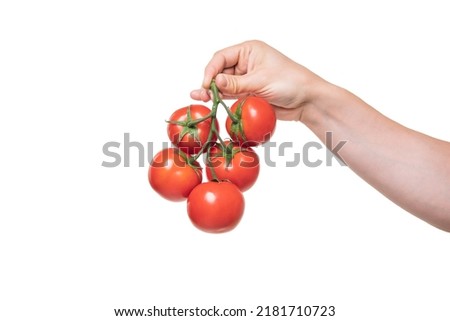 tomato cherry bunch vegetable in hand isolated on white background Royalty-Free Stock Photo #2181710723