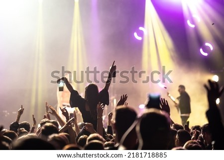 crowd having fun at a concert