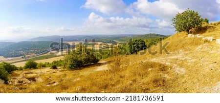 Panoramic view of trees, countryside and rolling hills in the Shephelah region, near Azekah, south-central Israel Royalty-Free Stock Photo #2181736591