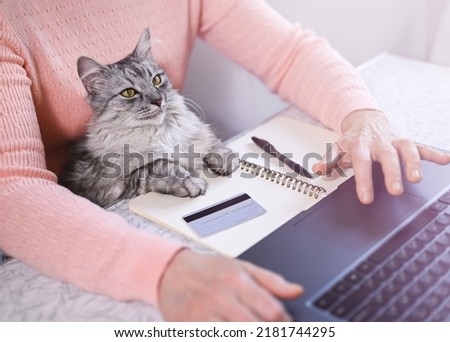 Mature woman works at home on a laptop with her cat. Gray cat looks at the monitor. Nearby lies a credit card and a notepad. Online shopping, work from home and freelance concept.