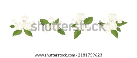 Hand drawn collection of jasmine flower illustration.  Royalty-Free Stock Photo #2181759623