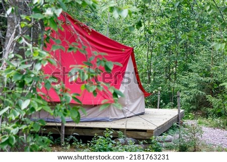 Photo of glamping in the forest in summer