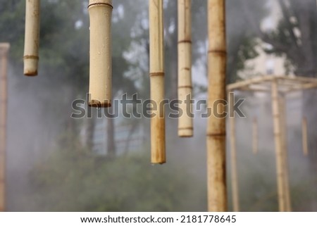 wet bamboo sticks , fresh humid asian garden ambiance , mist and fog