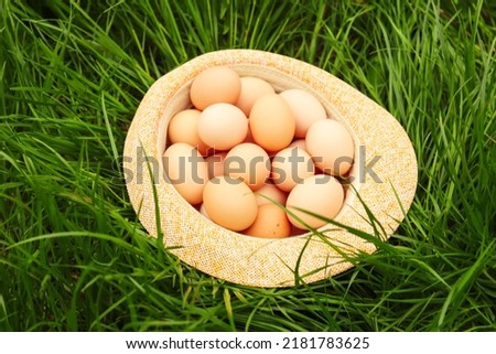 Defocus eggs in straw hat on grass background. Chicken eggs in wooden basket on green nature floor at cloudy day. Copy space. Organic food. Closeup. Easter egg. Side view. Vertical. Out of focus.