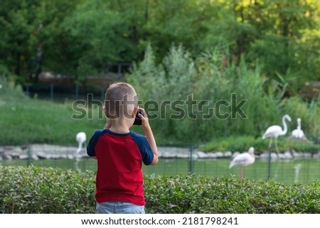 a boy in a red t-shirt takes pictures of pink flamingos at the zoo with an old-fashioned camera
