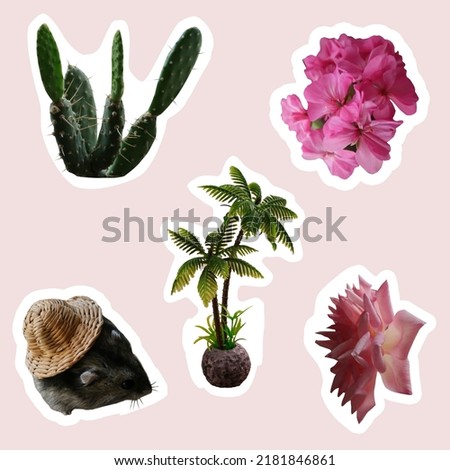Creative collage with rose, prickly pear, palm.