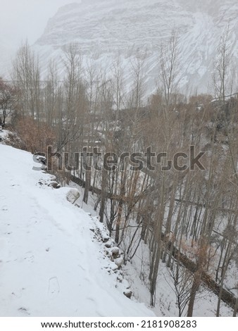 white snow, a snowy day in Shimshal Valley 