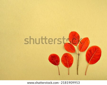Minimalist composition of red fallen leaves forming symbolic autumn grove. Autumn forest or Thanksgiving holiday background. Top view, flat lay, copy space for text.