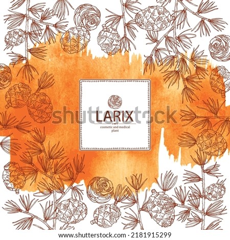 Watercolor background with larix: larch tree, larix branch and larch cone. Cosmetics and medical plant. Vector hand drawn illustration. Royalty-Free Stock Photo #2181915299
