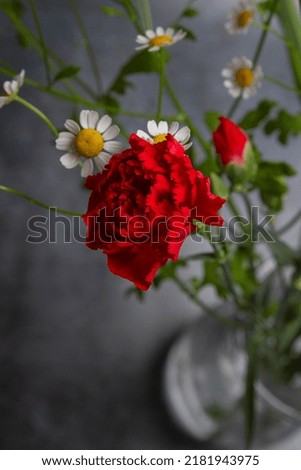 bouquet of carnations and daisies in a glass vase on a dark background