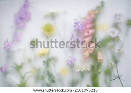 Blur floral background. Many different fresh chic flowers with pink foxglove lying on white background in blur filter