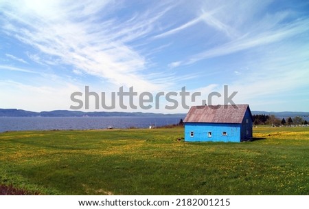 Blue agricultural building in dandelion filled pasture land, Gaspé Peninsular, Quebec Canada
