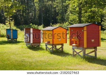 Colorful hives of bees in meadow. Wooden beehives near rape field. sunny summer day Royalty-Free Stock Photo #2182027463