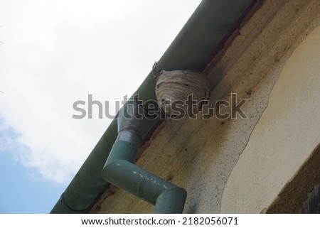 A wasp's nest by the gutter Royalty-Free Stock Photo #2182056071