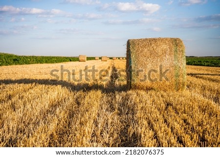 Image of straw bales in the  field on a sunny day.