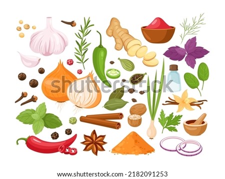 Spices and herbs. Vector set of kitchen herbs with vanilla,  anise, ginger, cinnamon, curry, basil, garlic, bay leaves, chili pepper, rosemary. Popular indian spices for menu, pattern, background Royalty-Free Stock Photo #2182091253