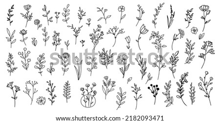 Set of simple doodles of flowers, hand drawn branches, leaves icon Royalty-Free Stock Photo #2182093471