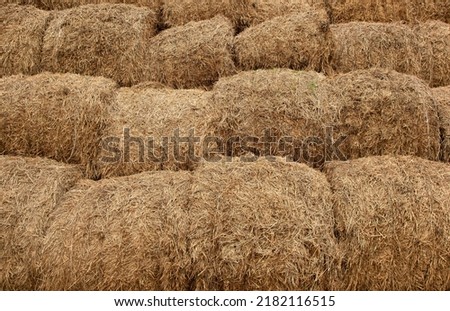 Hay stack background, texture. Hay prepared for farm animal feed in winter. Stacks dry hay open air field storage. Straw bale harvesting. Hay bale background Royalty-Free Stock Photo #2182116515
