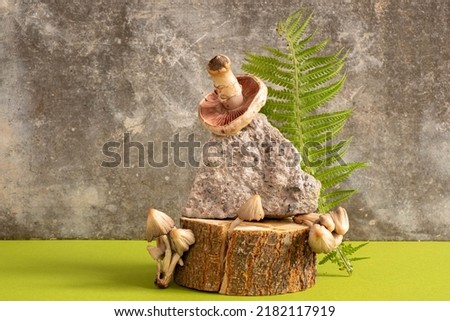 woodland decor and natural style. Wood stump and stone, mushrooms and fern leaf. Still life for products presentation on a gray background