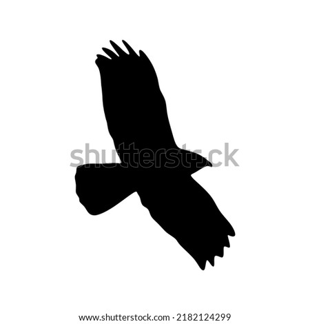Buzzard silhouette isolated on white background. Buzzard flying sign. vector illustration