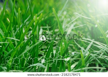 Plants background with biochemistry structure,Smart virtual screen interface on blurred gentle nature background. Sustainable energy.