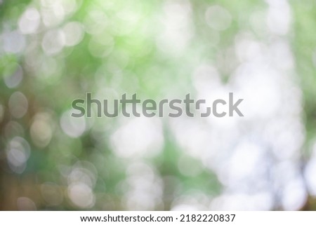 Green bokeh nature abstract background. Fresh healthy green bio background with abstract blurred foliage and bright summer sunlight and a central copy space for your text or advertisement.