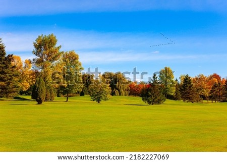 Bright autumn landscape. The trees with green and yellow foliage. Gorgeous green mowed lawn. Canada. Neighborhoods of Montreal.