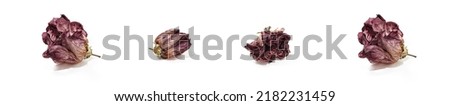 Dried hibiscus rose flower heads isolated on white background. Set of wilted rose flower