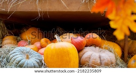 Lots of pumpkins.Gourds at a Thanksgiving Fair