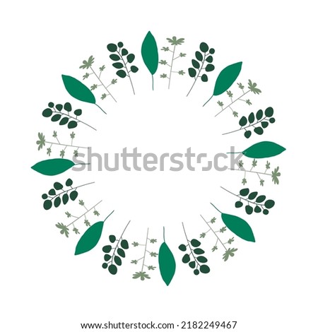 Herbal frame or border. Decorative green wreath. Vector botanical design element. 