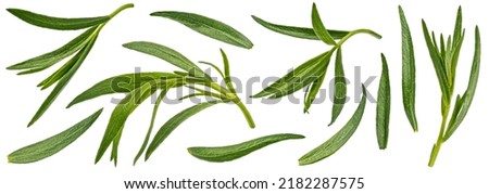 Tarragon leaves isolated on white background with clipping path Royalty-Free Stock Photo #2182287575