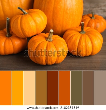 Palette of autumn colors and fresh ripe pumpkins on wooden table