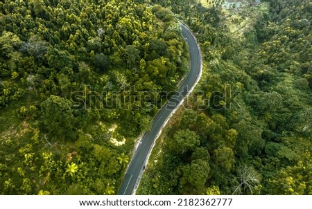 Aerial shot of road in tropical mountain forest.  Abstract forest background with winding road