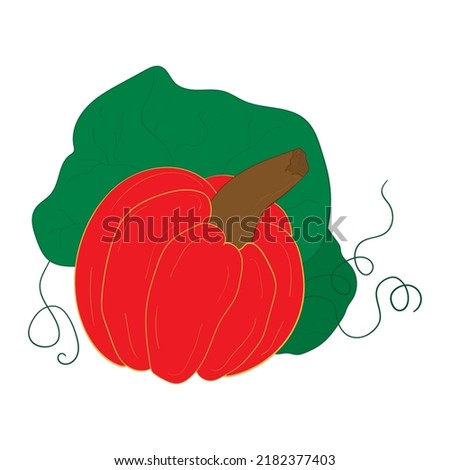 Beautiful orange-red bright pumpkin with large green leaves and tendrils. Autumn ripe vegetable. Vector illustration isolated on white background. Halloween holiday symbol.