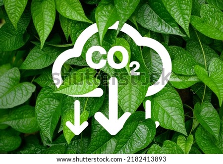 Co2 carbon dioxide sign and arrows down on green leaf background. Co2 reduction concept. Save the planet concept.                            Royalty-Free Stock Photo #2182413893