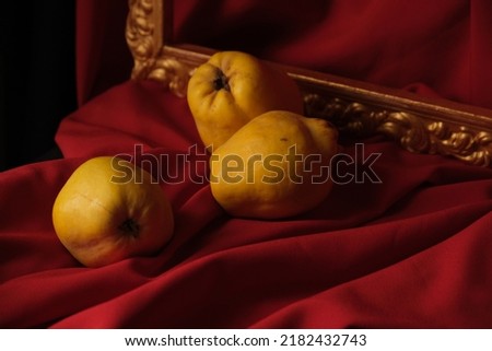 quince fruits on the background of red drapery and picture frames close-up