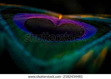 India, 8 March, 2021 : Peacock feather, Peafowl feather, Bird feather, Colorful feather, Closeup, Background, Wallpaper. Royalty-Free Stock Photo #2182434481